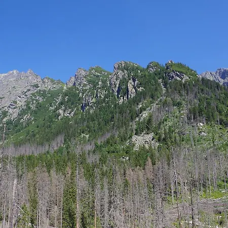 Livia * Vysoké Tatry